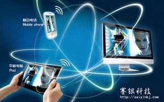 互联网时代的企业品牌营销与销售 赛银科技的转型之路